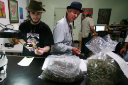 Steve DeAngelo, right, founded a marijuana dispensary in Oakland, Calif., and is on the board of an industry trade group.(Photo by Jim Wilson.)